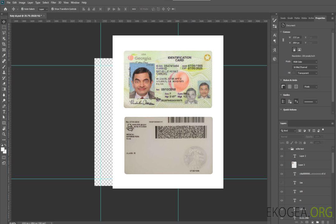 Carte d'identité des États-Unis et de la Géorgie 2018-présent template Carte d'identité des États-Unis et de la Géorgie 2018-présent template